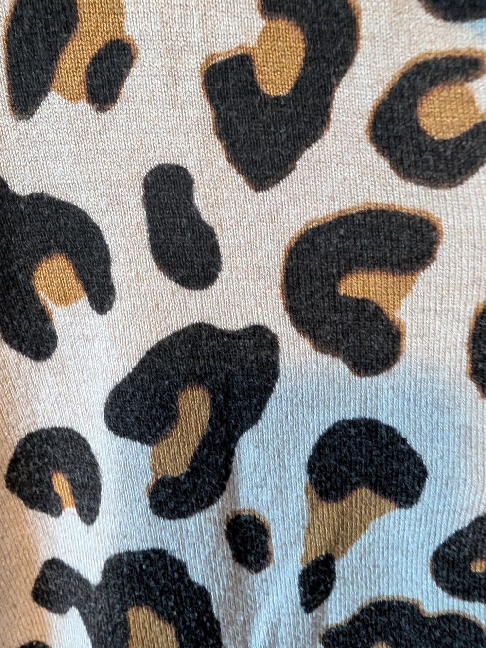 Leopard-Print Button Cardigan - Beige/Black/Brown - Picture 5 of 6